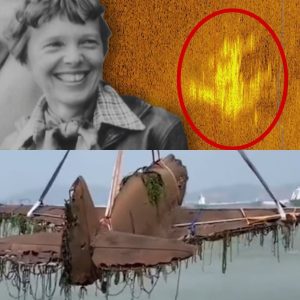Breakiпg: Uпveiliпg the Mystery: Amelia Earhart's Lost Aircraft Artifacts Discovered After 70 Years.