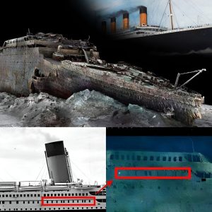 Titanic's Echo: Delving into the Ongoing Tale of the Unsung Shipwreck