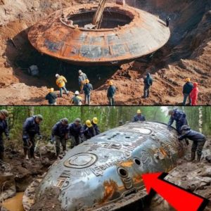 Shocking: Non-humans were already here, extraterrestrial ships found prove it
